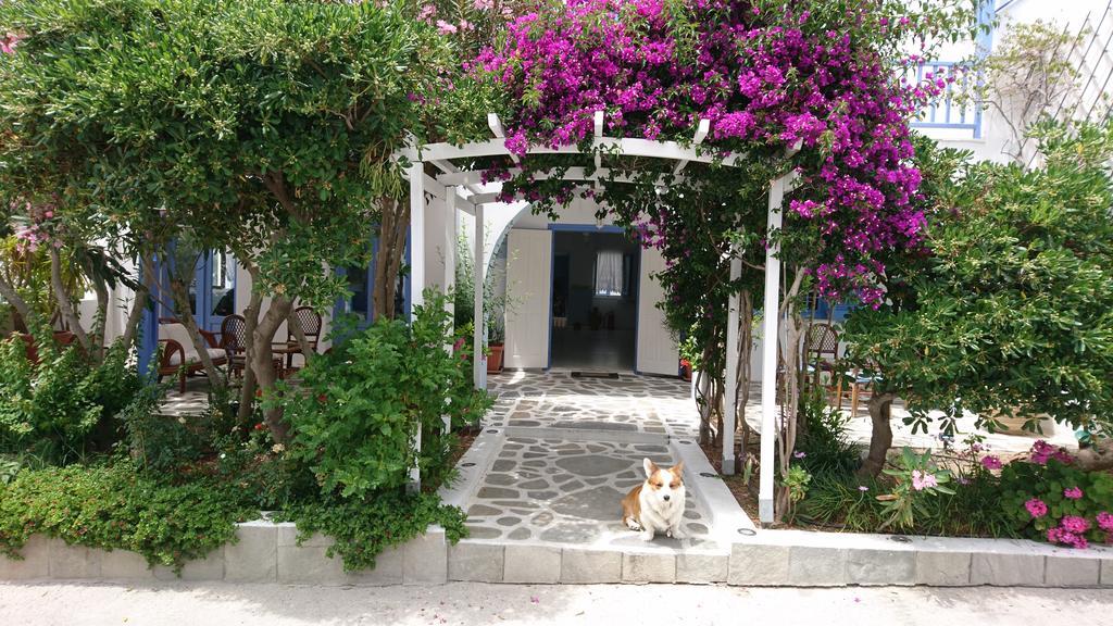 Panorama Paros Hotel Ngoại thất bức ảnh